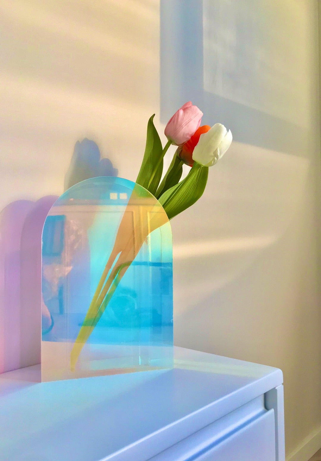 AcriPot - Modern Abstract Acrylic Art Nordic Floral Vases