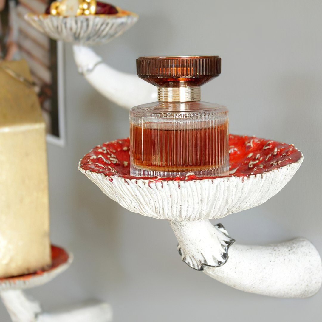 Marsh Top - Wall Floating Mushroom Hanging Shelf